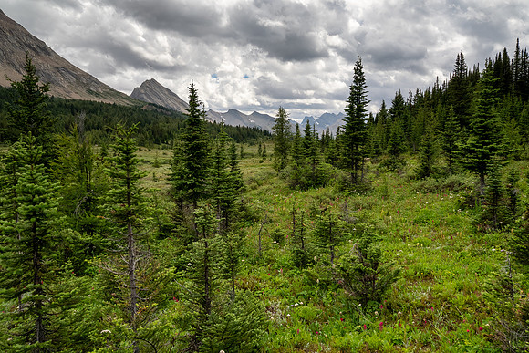 Banff National Park 2025