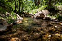 Horton Creek Hike (June 2021)