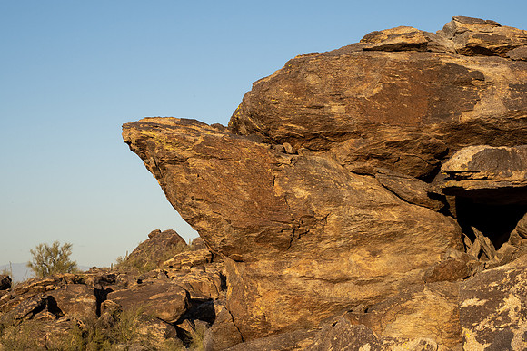 Arizona 2021
