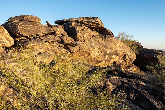 Arizona 2019