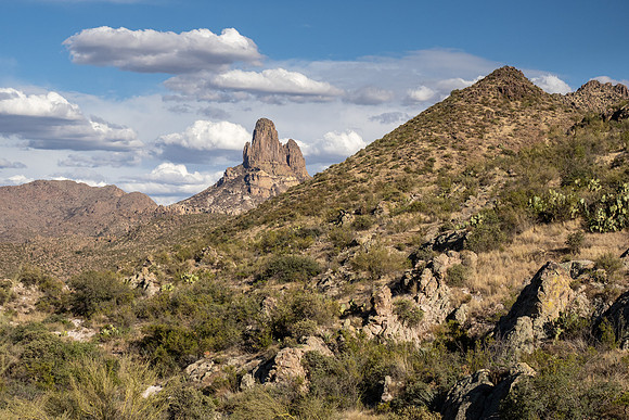 Arizona 2021