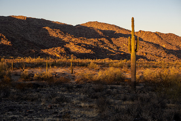 Arizona 2020