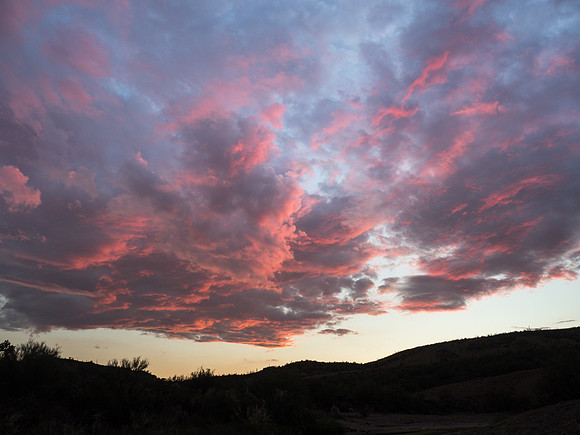 Arizona 2018