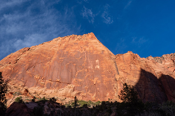Zion National Park 2024