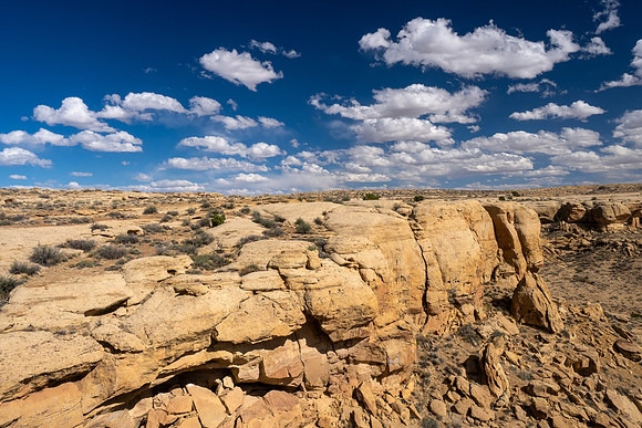 New Mexico 2025