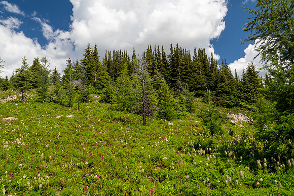 Banff National Park 2025