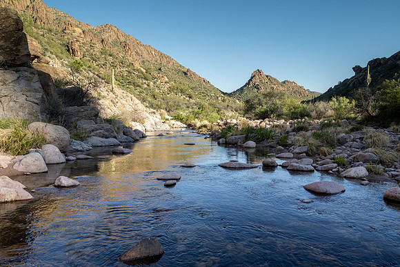 Arizona 2020