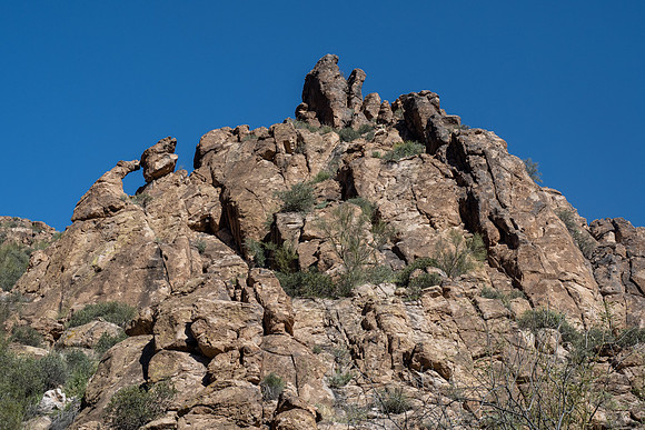 Arizona 2020