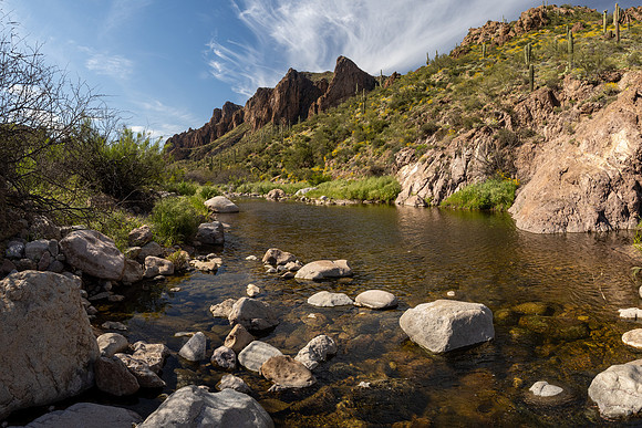 Arizona 2020