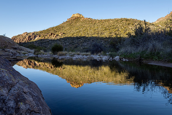 Arizona 2020