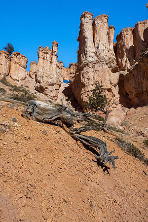Bryce Canyon National Park 2022