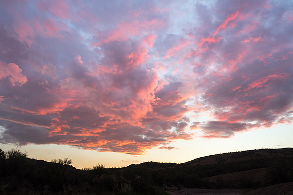 Arizona 2018