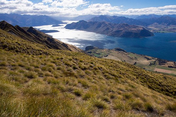 New Zealand 2013