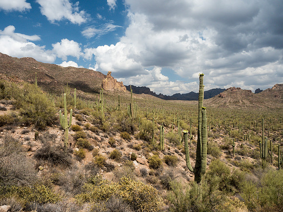 Arizona 2018
