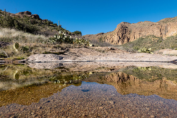 Arizona 2019