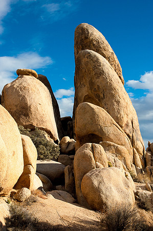 Joshua Tree National Park