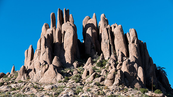 Arizona 2015 - Superstitions Ridge Hike (Mar)