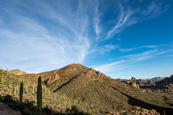 Arizona 2019