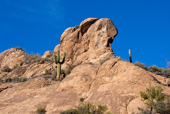 Arizona 2013 - Superstitions Hike Bluff Spring Loop