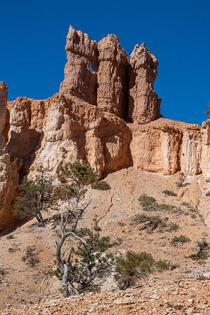 Bryce Canyon National Park 2022