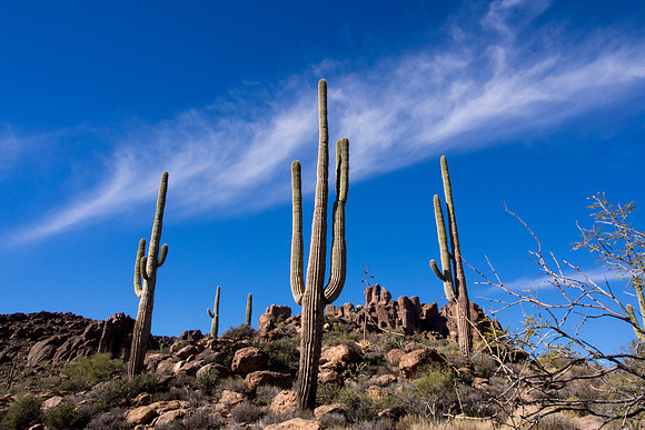 Arizona 2013 - Superstitions Hike Bluff Spring Loop