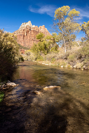 Zion National Park 2024