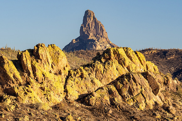 Arizona 2021