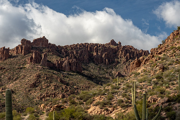 Arizona 2019