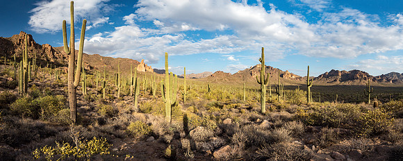Arizona 2018