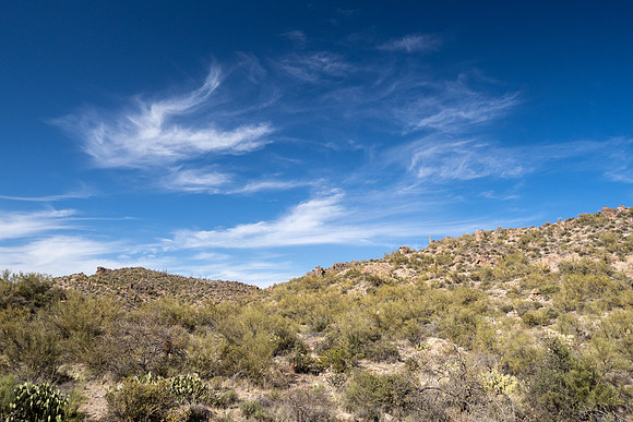 Arizona 2021