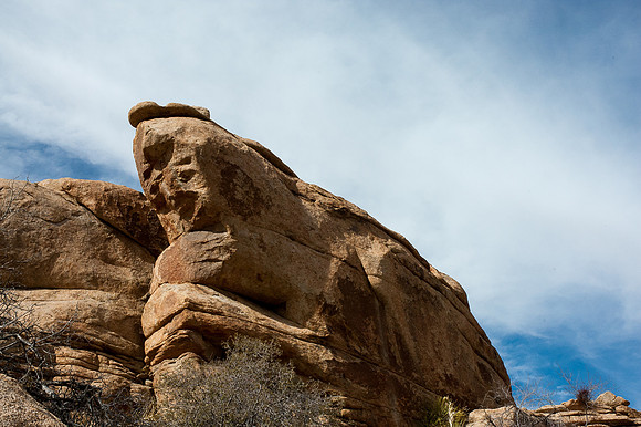 Joshua Tree National Park