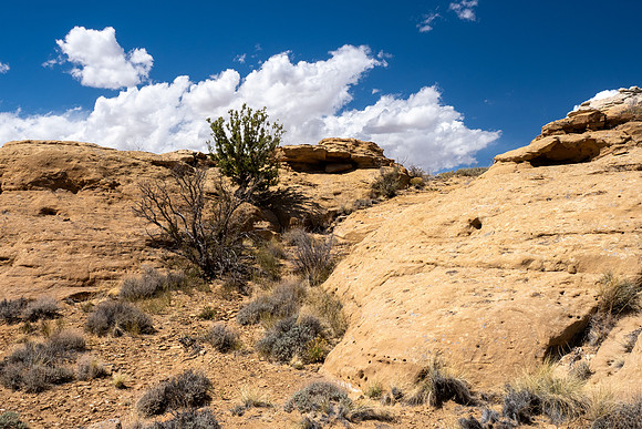 New Mexico 2025