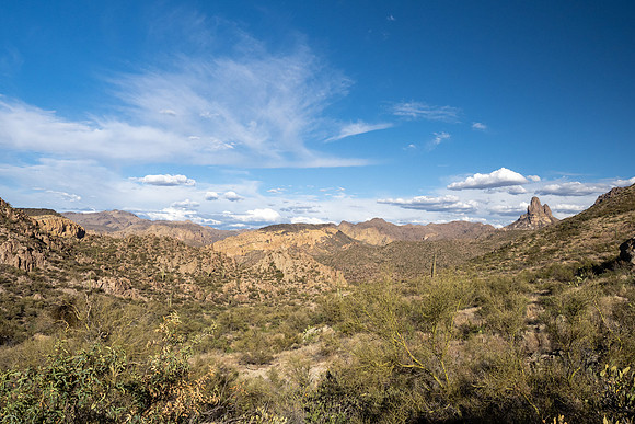 Arizona 2021