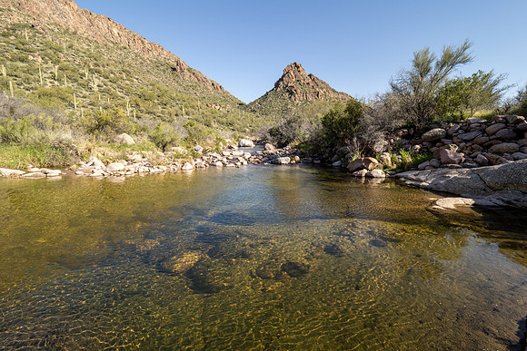 Arizona 2020