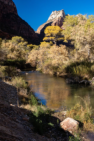Zion National Park 2024