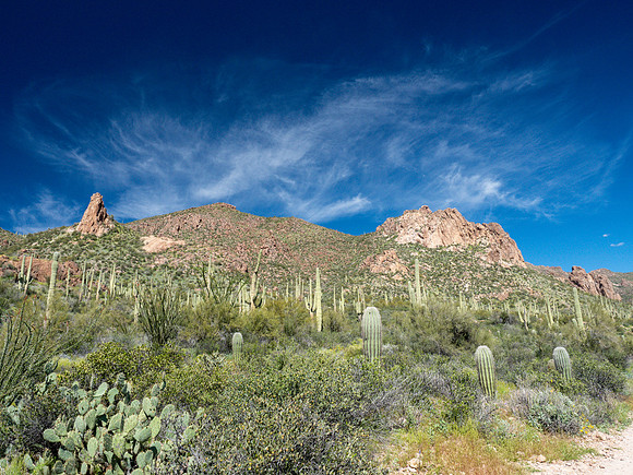 Arizona 2019