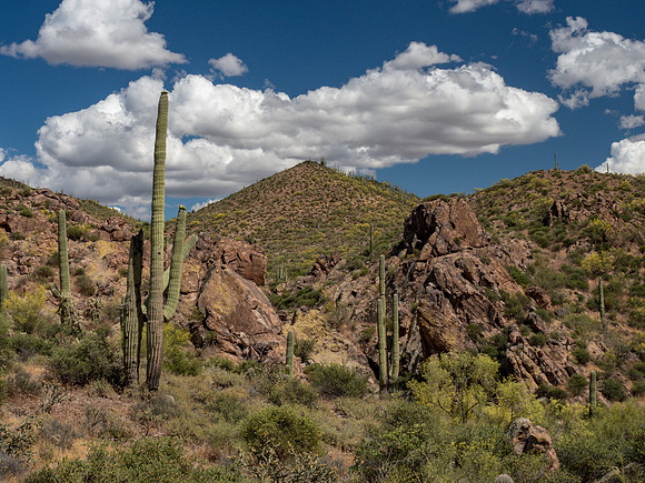 Arizona 2019