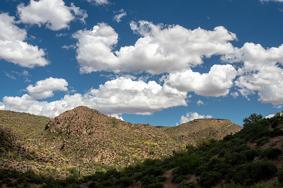Arizona 2019