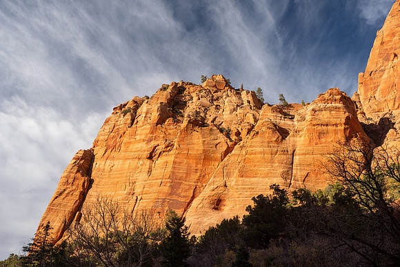 Zion National Park 2024