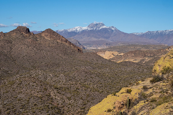 Arizona 2021