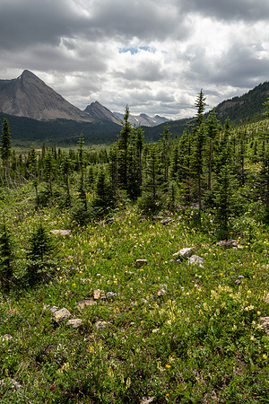 Banff National Park 2025
