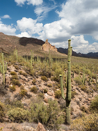 Arizona 2018