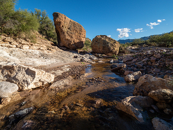 Arizona 2019