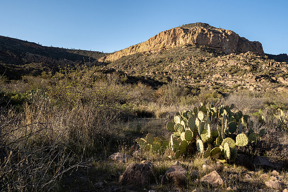 Arizona 2021
