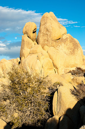 Joshua Tree National Park