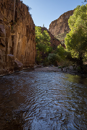 Arizona 2022