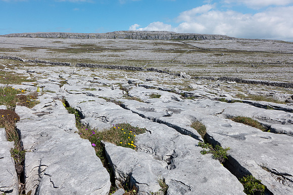 Ireland 2014 - Burren