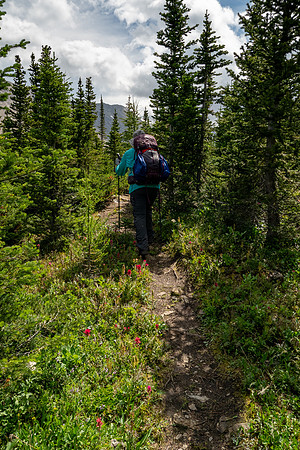 Banff National Park 2025