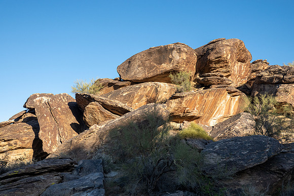 Arizona 2021