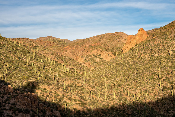 Arizona 2019